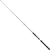 Daiwa Canna Slow Jigging Legalis