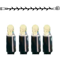 Star Trading System LED 'Fata LED 3m' 30 LED bianco caldo, IP44