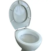 VCM Sedile WC Coperchio del sedile WC Coperchio del sedile WC Sedile WC Iseo Cerniere regolabili Grigio