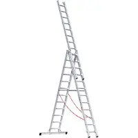 Euroline Scala multiuso in alluminio, a 3 sezioni con 3x12 pioli 3076112