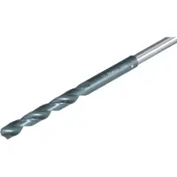 Makita Punta per casseforme 10 x 400 mm D-70225