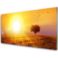 Drukarnia Piga Pannello di vetro per cucina, dimensioni 100x50 cm, protezione dagli schizzi, motivo: sole, prato, paesaggio