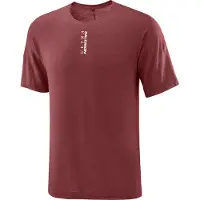 Salomon Ultra Short Sleeve Tee Maglia da corsa Uomo (L, rosso)
