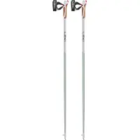 LEKI Passion Bastoni da nordic walking (120 cm, smokegreen /grigio)