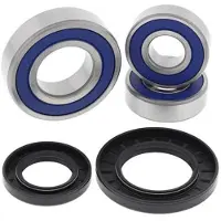 All Balls Racing Kit Cuscinetto Ruota Anteriore 25-1393