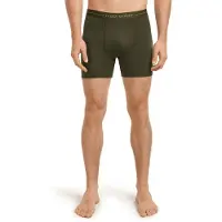 Icebreaker Anatomica Boxers Intimo lana merinos Uomo (L, grigio)