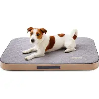DOTTY Materasso ortopedico per cani, memory foam VISCO Letto ortopedico per cani Colore grigio Taglia S (60 cm x 45 cm)