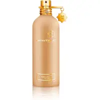 Montale Dallachaï Eau de Parfum Unisex 100 ml