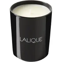 Lalique Vetiver Bali 190 g — Candela Profumata
