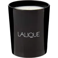 Lalique Figuier Amalfi Fico 190 g — Candela Profumata