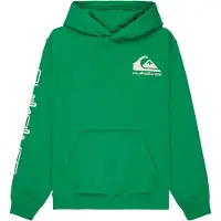 Quiksilver Kid's Omni Logo Hoodie Felpa con cappuccio Bambini (14, verde)