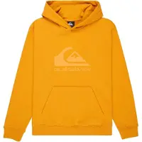 Quiksilver Kid's Comp Logo Hoodie Felpa con cappuccio Bambini (16, arancione)