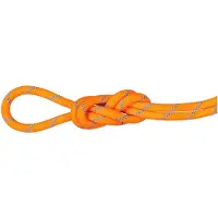 Mammut 8.7 Alpine Sender Dry Rope Corda intera (40 m, arancione/bianco)