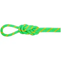 Mammut 8.0 Alpine Dry Rope Mezza corda (50 m, verde)