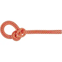 Mammut 8.7 Crag Sender Dry Rope Corda intera (80 m, fuchsia)
