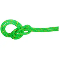 Mammut 9.5 Crag Dry Rope Corda intera (40 m, verde)