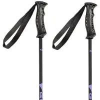 Gabel Bastoncini Junior R Carbon