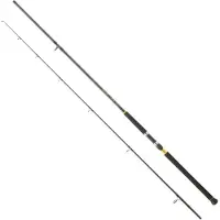 Daiwa Canna Jigging Legalis Shore