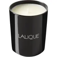 Lalique Figuier Amalfi Italie 600 g — Candela Profumata