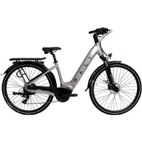 RALI Bicicletta Elettrica E-city Vinka 700c Ardtx800d