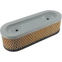 Generique Filtro aria adattabile per motori Briggs & Stratton 7, 8 e 11 CV, orizzontale. Ricambio originale: 399968 - L222mm, L: 79mm, H: 6mm