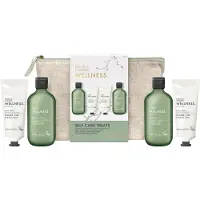 BAYLIS & HARDING Wellness Energise Ginger, Lime & Basil Leaf — Set Corpo