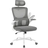 Woltu Sedia da ufficio ergonomica , sedia da scrivania in tessuto a rete, regolabile in altezza: Grigio Colore: Grigio