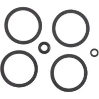 Formula Anello A Guarnizione Cura 4