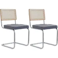 StarTech.com Sedie da pranzo - Set da 2 - Schienale in rattan - Seduta imbottita in velluto - Gambe in metallo - Senza braccioli - 84×47,5×44 cm - Grigio scuro