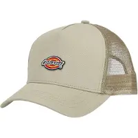 Dickies Cappello Trucker Hanston