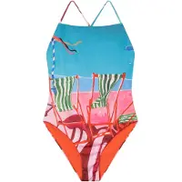 DEDICATED Women's Swimsuit Vinterviken Costume intero Donna (S, variopinto)