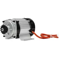 StarTech.com Kit di conversione per triciclo elettrico - Motore brushless - 48 V - Grigio chiaro