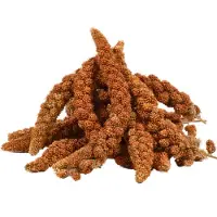 Lyra 2 kg miglio in pannocchia rosso