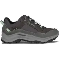 Lowa Women's Ventierra GTX Lo Scarpe sportive Donna (40, grigio)