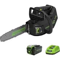 OEM Motosega, motore brushless, barra da 10 pollici, con set da 4ah, 10 pollici, una batteria