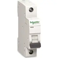 Schneider ELECTRIC Interruttore automatico A9K01125, B, 25A