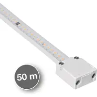 Sigor Luce a fune LED 230V, rotolo da 50 m, 144 LED per interni ed esterni