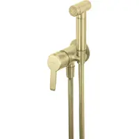 Deante Concealed bidet mixer with bidetta receiver