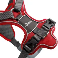 Hunter Harness Divo Imbracatura per cani (Hals 30-42 cm, Bauch 52-68 cm - Breite 2,0 cm, rosso/grigio)