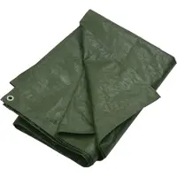 Syfax Telone 180 g/m² 6x8 m Verde HDPE