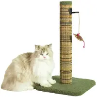Zolux BOREAL M, tiragraffi per gatti, 60 cm, verde