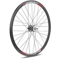 Gurpil Ruota Posteriore Fixed Dp-18 Balls Disc Tubular