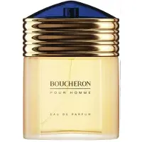 Boucheron Eau De Parfum Vapo 100ml