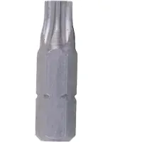 Cofan Punta Torx Di Sicurezza T25 10 Unità