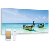 Quality Heating Pannello a infrarossi in vetro stampato con Wifi e telecomando Sea 119x59 700Watt