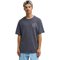 Quiksilver Curve Palm T-shirt Uomo (M, grigio)