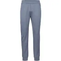 Stoic MerinoTerry250 BaraSt. Pants Pantaloni da allenamento Uomo (M, grigio)