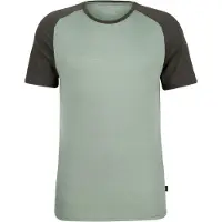 Stoic Merino155 LaholmSt. Raglan Shirt Maglia merino Uomo (L, grigio)