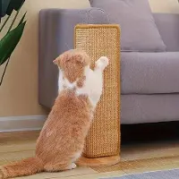 OEM Cuccia per gatti in cartone - Design accattivante e robusto - Protezione dai graffi - Cuccia o tappetino per gatti - Accessorio ideale per la cura del gatto
