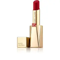 Estée Lauder Pure Color Desire Rossetto 305 Don't Stop